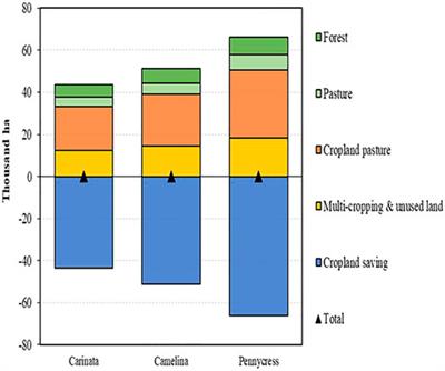 Oilseed Cover Crops for Sustainable Aviation Fuels Production and Reduction in Greenhouse Gas Emissions Through Land Use Savings